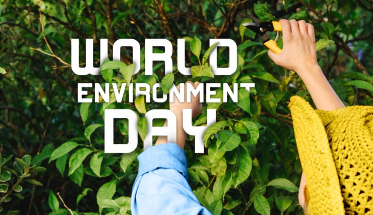 Saudi Arabia to Host World Environment Day 2024